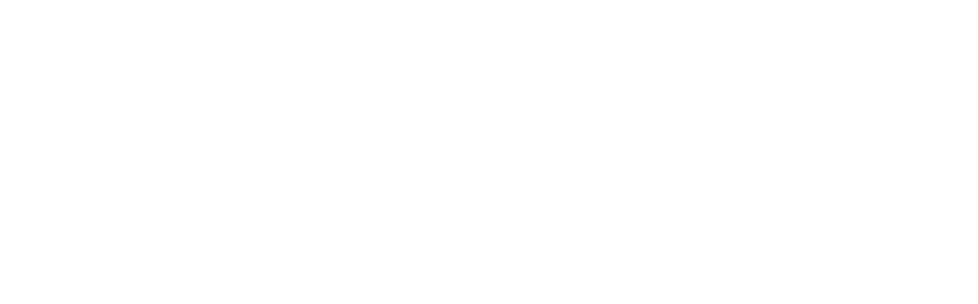 DSM Animal Nutrition and Health