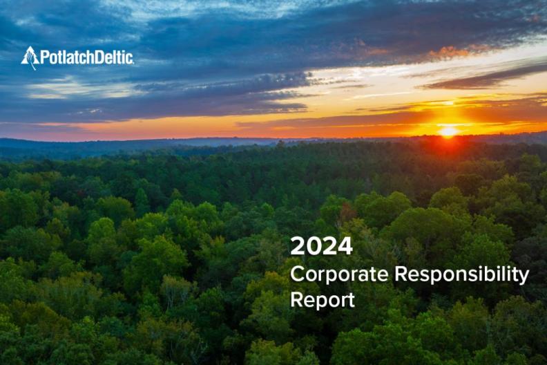 2024 Corporate Sustainability Report cover with image of forest 