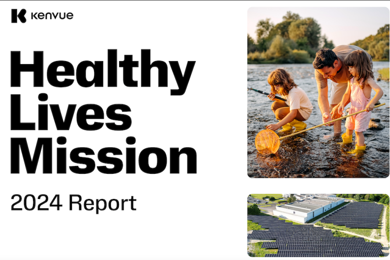 Healthy Lives Mission 2024 Report 