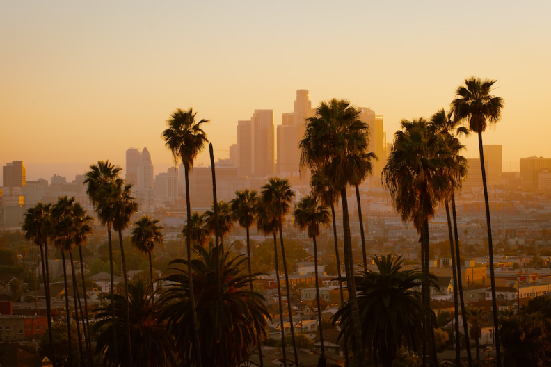 LA cityscape shown with fires burning in the background. 