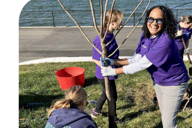 Colleagues volunteer by planting trees on Governors Island in New York City.  