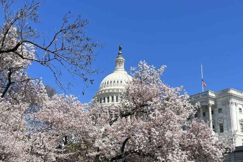 Capitol Hill 