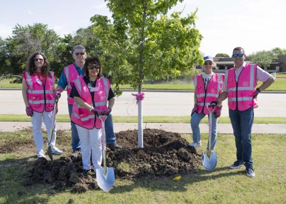 People in pink vests planting a tree