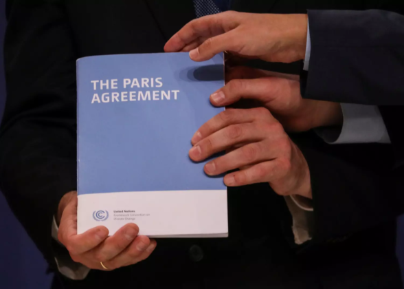 Ten years ago, the Paris Agreement reshaped global climate ambition. Image: REUTERS/Susana Vera