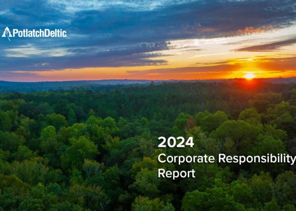 2024 Corporate Sustainability Report cover with image of forest
