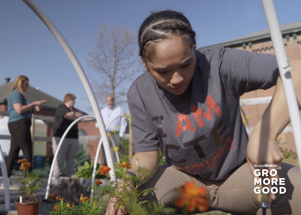Students working in a garden