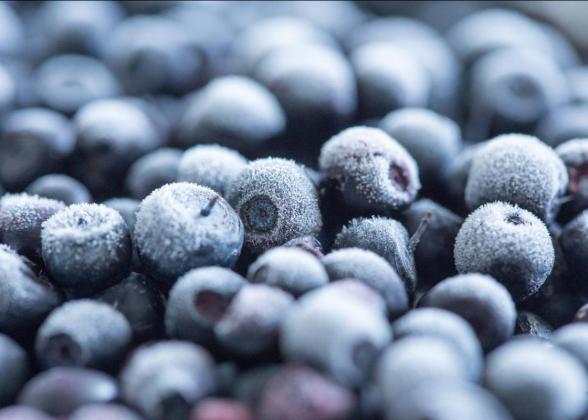 Frozen blueberries 
