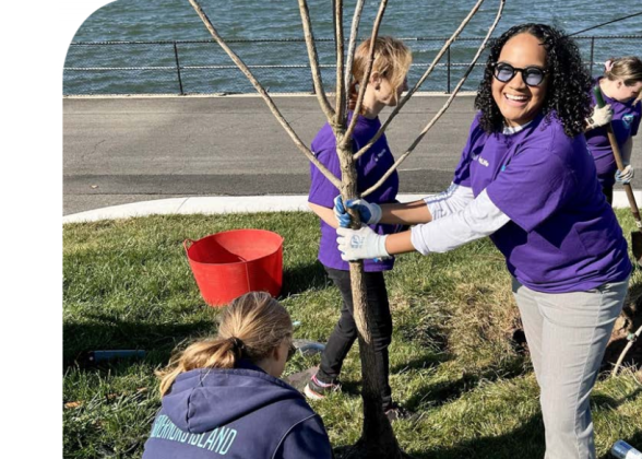 Colleagues volunteer by planting trees on Governors Island in New York City. 