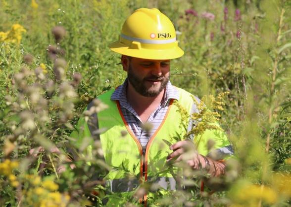 PSEG employee in pollen field. &quot;We&#039;re honored to be recognized by the University of Illinois Chicago as a 2024 Monarch Conservation Partner for our efforts in supporting monarch butterfly habitats in our rights-of-way.&quot;