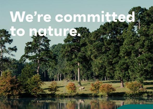 &quot;We&#039;re committed to nature.&quot; superimposed on landscape with the International Paper logo at the bottom