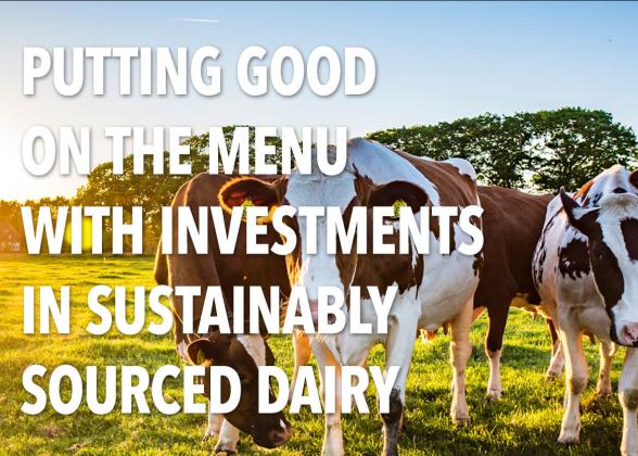 &quot;Putting good on the menu with investments in sustainably sourced dairy&quot; with cows in background