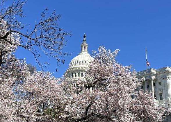 Capitol Hill