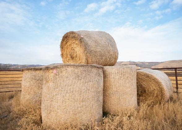 hay bales