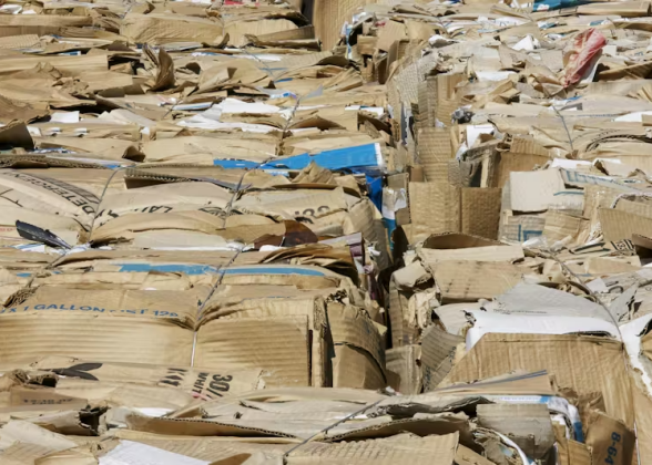 cardboard waste
