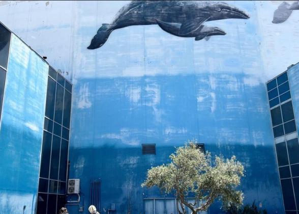 A whale painted on an exterior wall of a building 