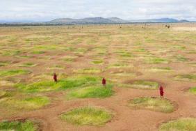 AI Innovation Meets Climate Action — Where Technology Powers Grassroots Solutions Image.