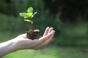 Teva Sets Ambitious Long-Term Environmental Goals As Part of Renewed ESG Strategy Image