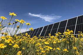 Focusing on Regenerative Agriculture and Moving to Renewable Electricity, Nestlé Redoubles Efforts to Combat Climate Change Image