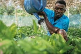Hershey Announces Bold 2030 Goals to Reduce Environmental Footprint and Address Climate Change Image