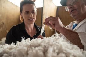 The New Zealand Merino Company Launches Apparel Industry's First 100% Regenerative Wool Platform in Partnership With Global Brands Allbirds®, icebreaker®, and Smartwool® Image