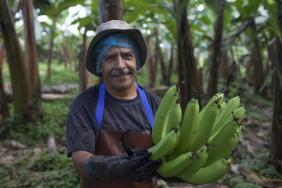 Fair Trade USA Reveals Greater Shifts Toward Transparent and Ethical Sourcing in First Quarter Image