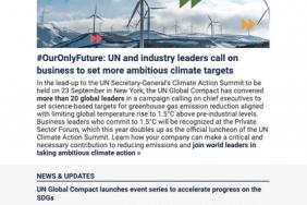 UN Global Compact Bulletin (June 2019) Image