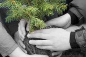 Bayer Corporation Joins U.N.'S ''Billion Tree Campaign'' Image.