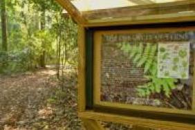 Albemarle Earns Wildlife Habitat Certification at Orangeburg Plant Site Image.