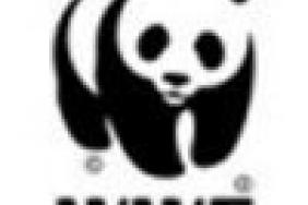 WWF and Fairmont Join Forces to Address Climate Change Image.