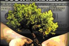 DVD Release: The Business Case for Sustainability Image.
