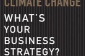 Climate Change: What's Your Business Strategy? a new book from Harvard Business Press Image