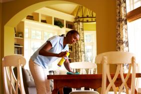 SC Johnson's Products and Production "“ You Can Feel Good about It Image.