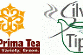 Silver Tips Tea Room and Eco-Prima Tea Take an Environmental Leadership Position by Joining Carbonfund.org's CarbonFree Program Image.