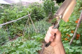 Seeding Change: Website Seeks to Liberate Diets-and Wallets-from Supermarket Image.