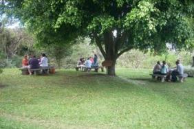 United Nations Mandated University For Peace Offers Two CSR Workshops in Costa Rica (December 3-5) and London (Oct. 1-2)  Image.