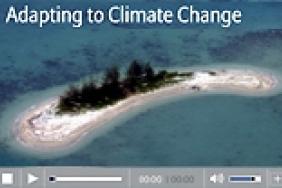 The Allianz Knowledge Newsletter Asks:  Adapting to Climate Change: Can we do it again?   Image.