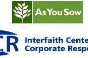 Faith-based and Social Investors Praise Wal-Mart's Efforts to Stop Forcing Children to Pick Cotton   Image.