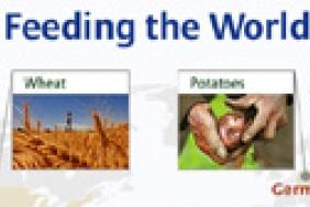 The Allianz Knowledge Newsletter Looks Into This Year's Food Price Lunacy Image.