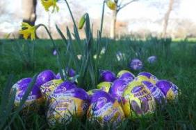  Cadbury Delivers Award-Winning Corporate Responsibility Initiatives  Image.