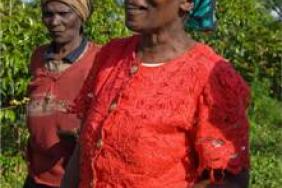 Whole Planet Foundation(TM) and Unitus Join Forces to Accelerate Growth of Microfinance in Kenya Image.