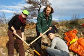 From 42 trees to 42 years: Planting art for a greener Athens Image.