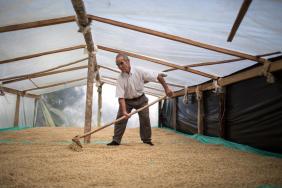 Fair Trade USA Awarded $1.4 Million Grant from the Walmart Foundation to Deepen Impact for Farmers Image