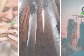 Reveal Your CarbonRATE™  Image.