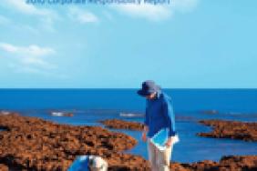 Chevron Issues 2010 Corporate Responsibility Report Image.