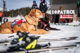 Subaru Winterfest Brings Music, Food and Adventure to Nine Ski Resorts in 2020 Image.
