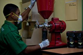 Freeport-McMoRan Invests in Indigenous-Owned Organic Coffee Cooperative Image.