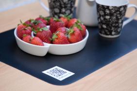 ReMakes(TM) Turns Reclaimed Billboards into Unique Placemats that Deliver Daily Ecology Tips Right to Your Dinner Table  Image.