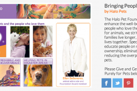 Halo Pets Rewards Foundation Donors with Social Media Kudos and Product Discounts! Image.