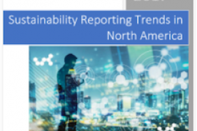  UN Sustainable Development Goals Set High Standards for North America Sustainability Reporting Image