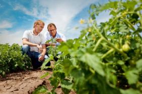 Bayer Provides Produce Growers With Holistic Approach to Field Challenges During First Ever Agriculture and Innovation Showcase Image.